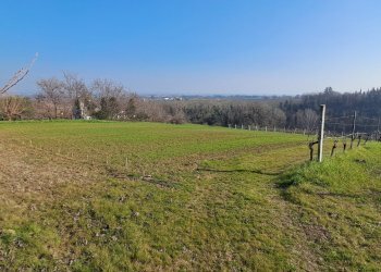 Terreno agricolo Forlì - foto 6