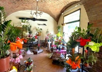 Bilocale Via Guglielmo Marconi, Colorno - foto 5