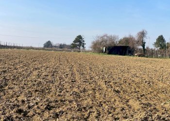 Agricultural land Imola - photo 7