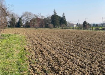 Agricultural land Imola - photo 17