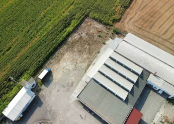 Mappa - Capannone Ss per Sale, Tortona - foto 3