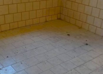 Dettagli - Three-room apartment via Sergio Piombelli, 19, Genova (neighborhood Sampierdarena) - photo 4