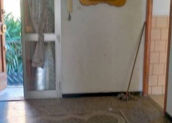 Salone - Three-room apartment via Sergio Piombelli, 19, Genova (neighborhood Sampierdarena) - photo 13