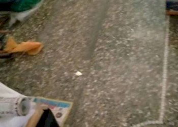 Dettagli - Three-room apartment via Sergio Piombelli, 19, Genova (neighborhood Sampierdarena) - photo 31