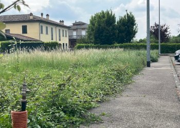 Terreno edificabile Vigolzone - foto 2