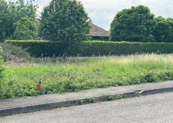 Terreno edificabile Vigolzone - foto 4