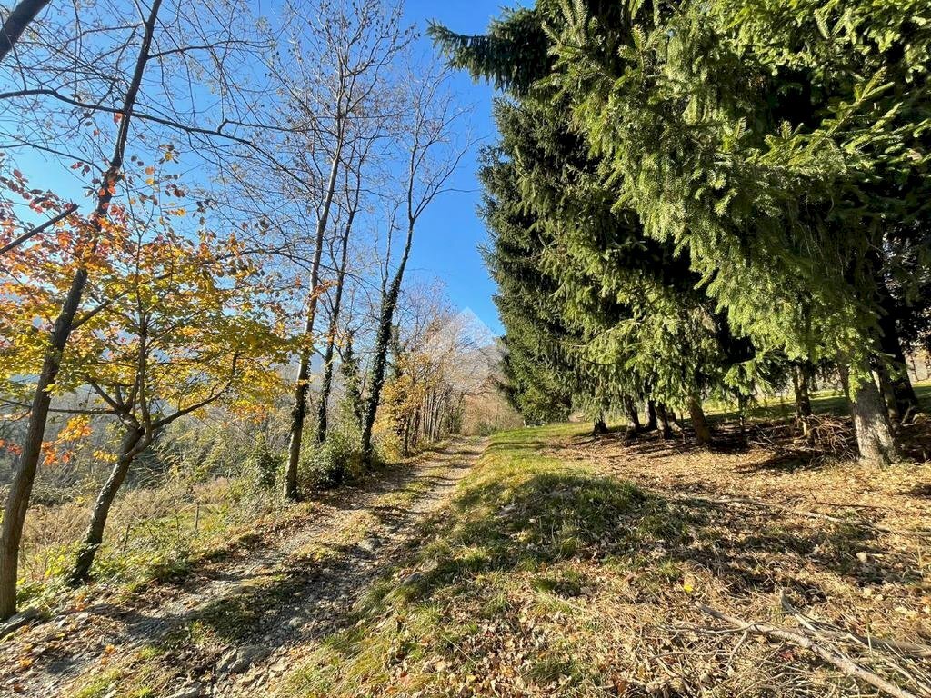 Agricultural land V. Magnetti, Lanzo Torinese - photo 3