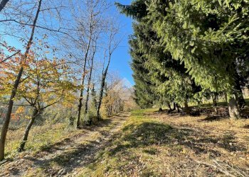 Agricultural land V. Magnetti, Lanzo Torinese - photo 3