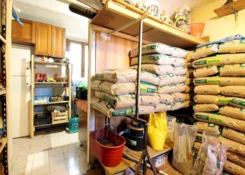 Casa semi indipendente Via Monte Grappa, Rivoli - foto 33