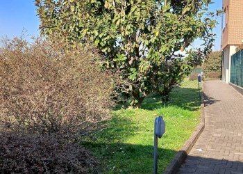 Three-room apartment via Restelli, Legnano - photo 3