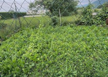 Appartamento Via del Gavotto, 18, Peveragno - foto 9