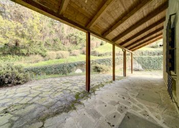 Giardino - Villa corso Chieri, 207, Torino - photo 17