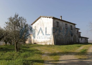 Terreno - Rustico via Montegranello, Cesena - foto 1
