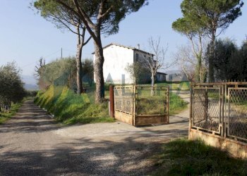 Terreno - Rustico via Montegranello, Cesena - foto 2