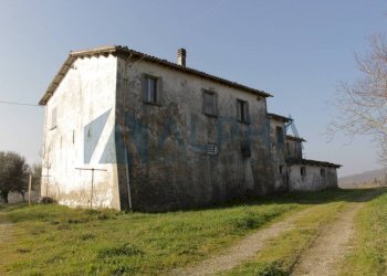 Terreno - Rustico via Montegranello, Cesena - foto 3