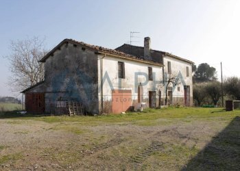 Terreno - Rustico via Montegranello, Cesena - foto 6