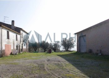 Terreno - Rustico via Montegranello, Cesena - foto 16