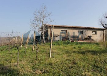 Terreno - Rustico via Montegranello, Cesena - foto 18