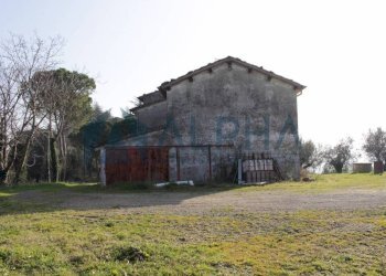 Terreno - Rustico via Montegranello, Cesena - foto 21