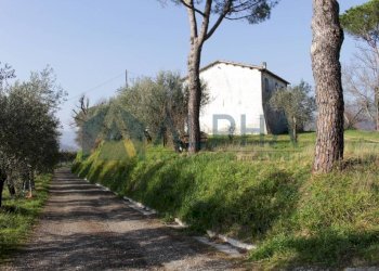 Terreno - Rustico via Montegranello, Cesena - foto 22