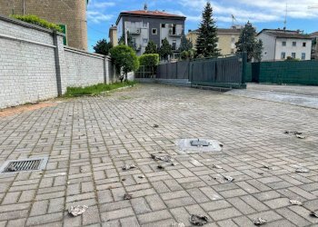 Villa Reggio nell'Emilia - photo 32