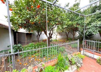 Casa indipendente Mondragone - foto 2