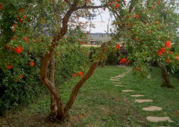 Trilocale via Piemonte, Capalbio - foto 3