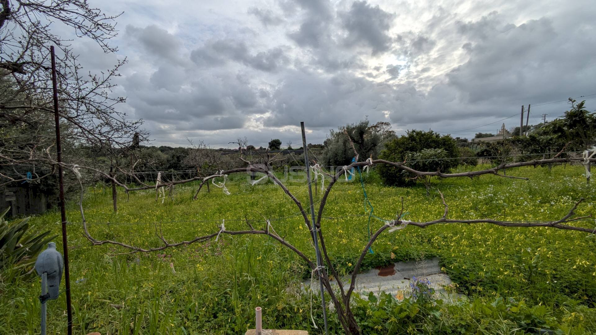 Agricultural land strada serra, Floridia - photo 3
