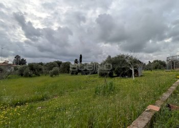 Agricultural land strada serra, Floridia - photo 2