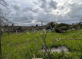Agricultural land strada serra, Floridia - photo 3