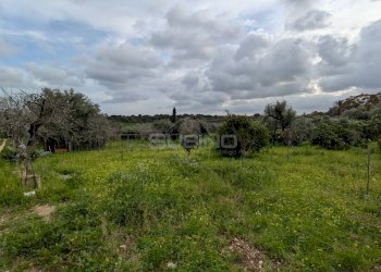 Agricultural land strada serra, Floridia - photo 4