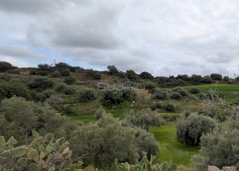 Agricultural land strada serra, Floridia - photo 7