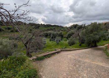 Agricultural land strada serra, Floridia - photo 8