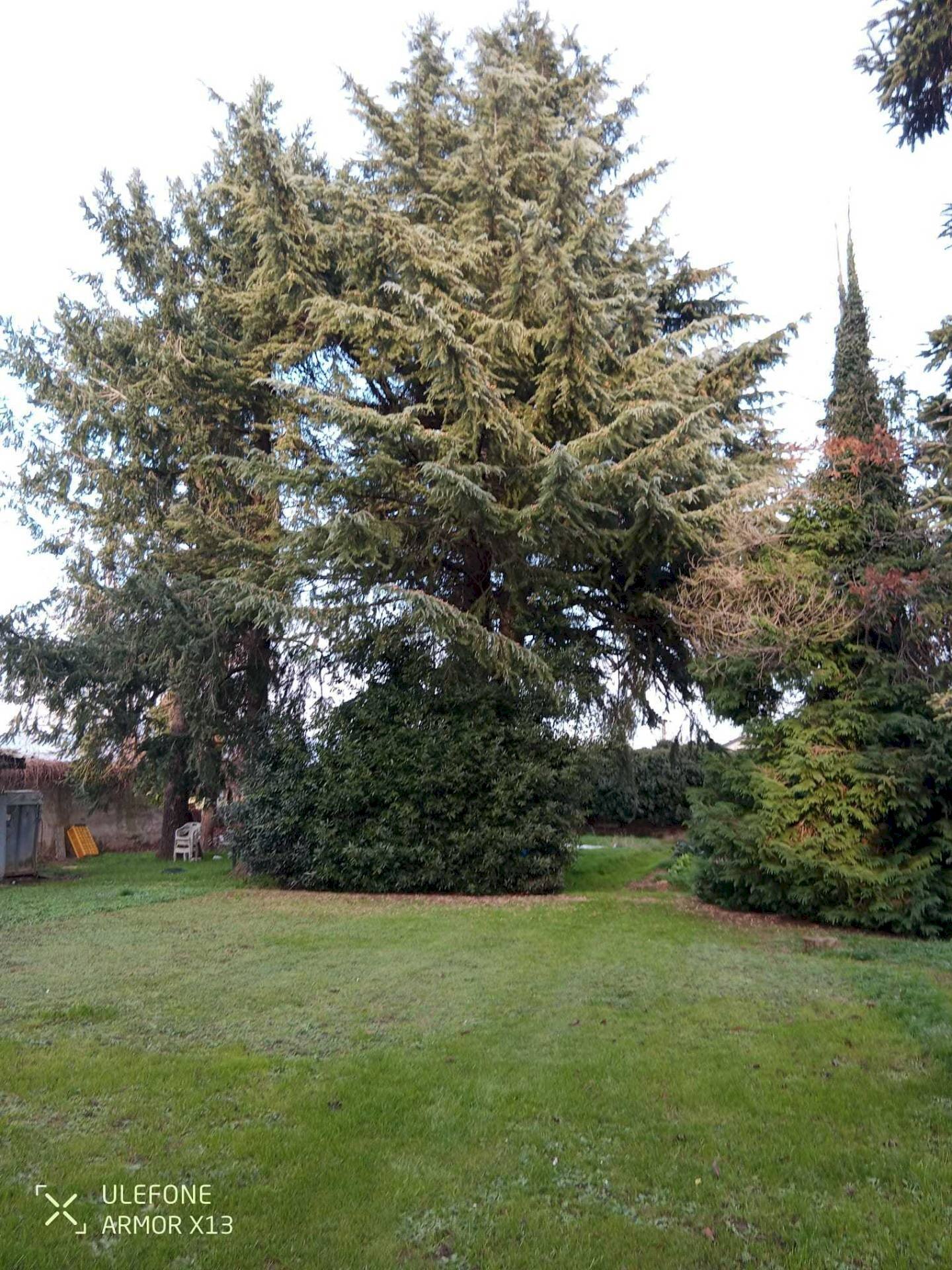 Casa indipendente Via Pascaretto, Pinerolo - foto 1