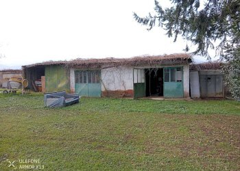 Casa indipendente Via Pascaretto, Pinerolo - foto 7