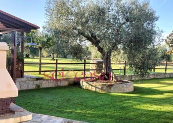 Casa indipendente Grosseto - foto 2