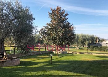 Casa indipendente Grosseto - foto 4