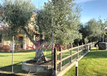 Casa indipendente Grosseto - foto 10