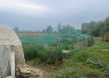 Rustico Via Ceresa, Busca - foto 5