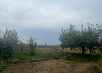 Rustico Via Ceresa, Busca - foto 6