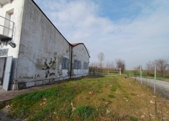 Terreno - Negozio strada Statale Romana Nord, 116, Carpi - foto 12