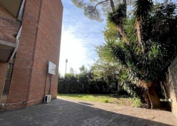 Giardino - Appartamento via di Villa Betania, 31, Roma - foto 43