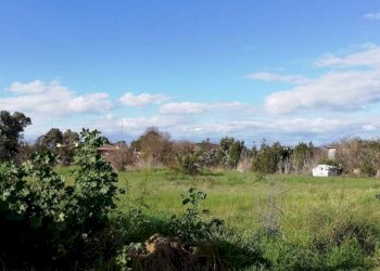 Terreno - Terreno edificabile via Santo Tomaselli, Roma (zona Lido di Ostia) - foto 6