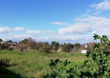 Terreno - Terreno edificabile via Santo Tomaselli, Roma (zona Lido di Ostia) - foto 8