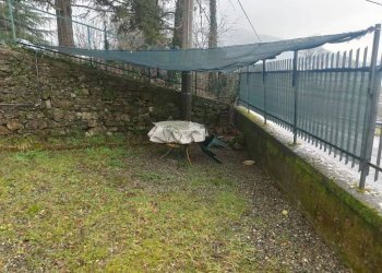 Giardino - Villa Casella - foto 6