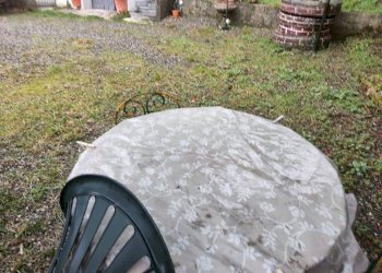 Giardino - Villa Casella - foto 8