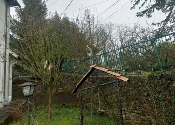 Giardino - Villa Casella - foto 12