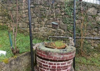 Giardino - Villa Casella - foto 13