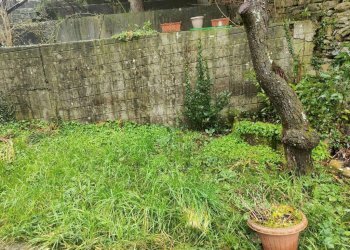 Terreno - Villa Casella - foto 18