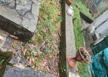 Giardino - Villa Casella - foto 19